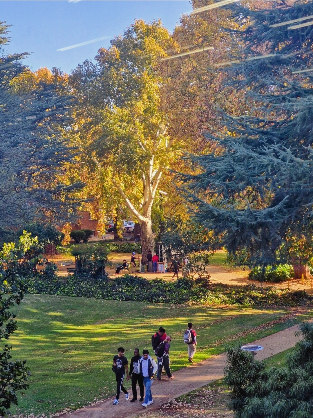 FINDING CALM IN CAMPUS GREEN SPACES