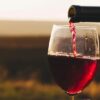 A BEGINNER’S GUIDE TO WINE FOR THE HOLIDAYS