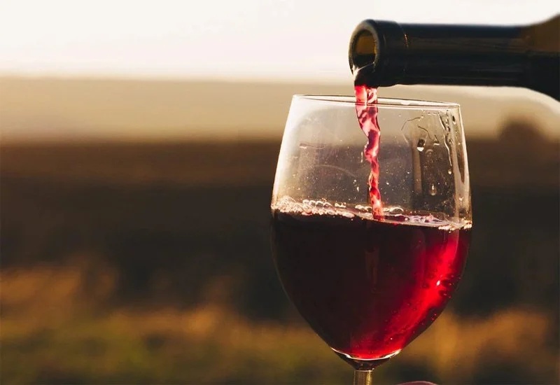 A BEGINNER’S GUIDE TO WINE FOR THE HOLIDAYS